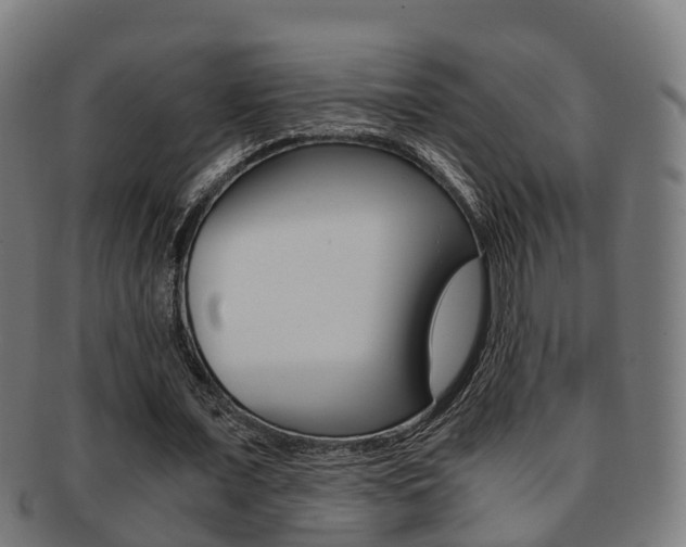 X0000092000675200709061241