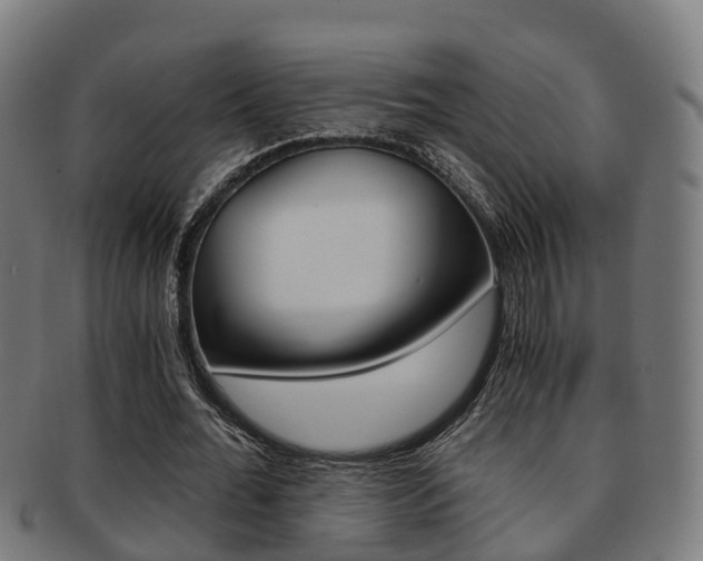 X0000092000676200709061241