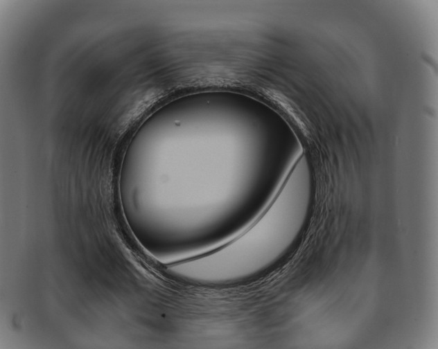 X0000092000677200709061241