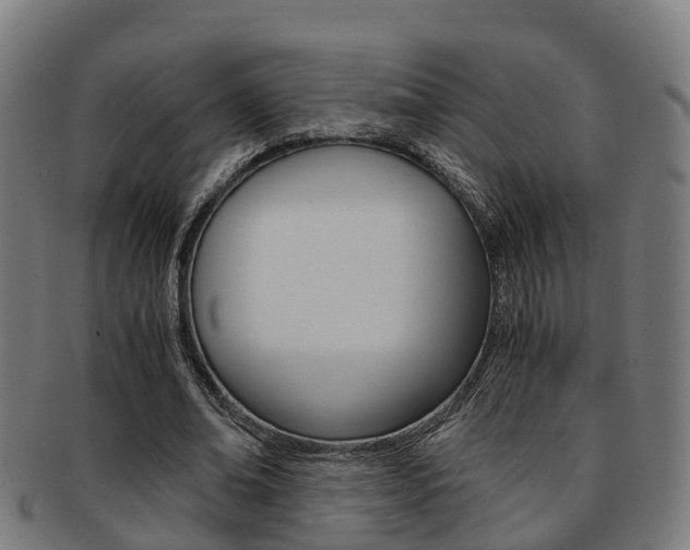 X0000092000678200709061241
