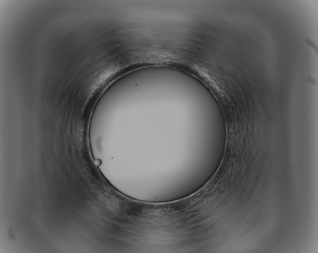 X0000092000679200709061241