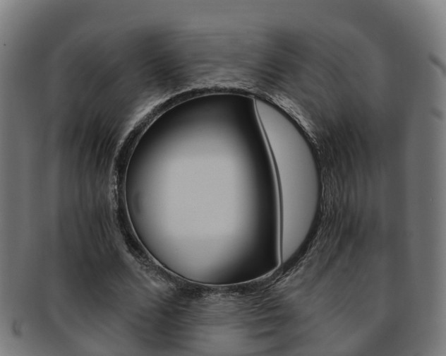 X0000092000680200709061241