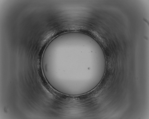 X0000092000683200709061240