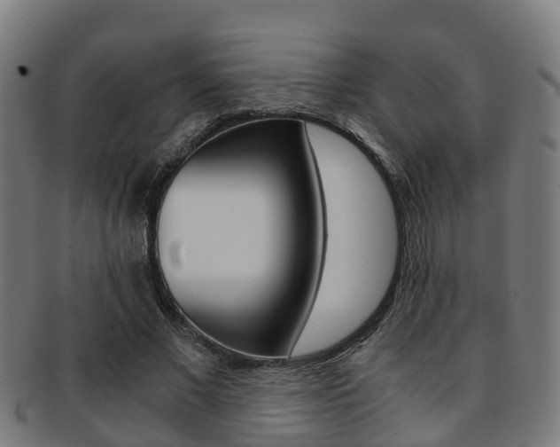 X0000092000685200709061240