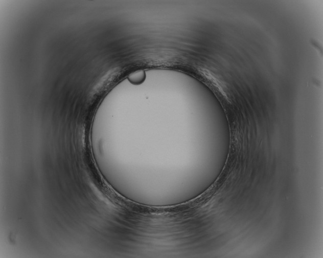 X0000092000686200709061240