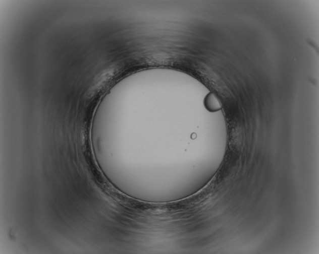 X0000092000687200709061240