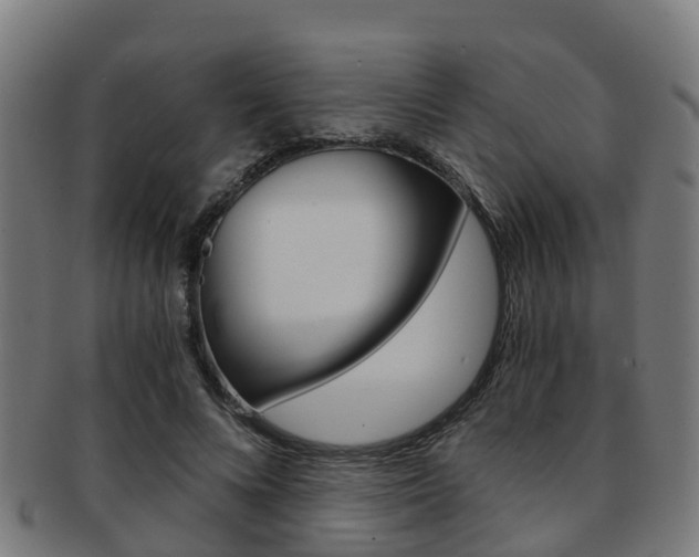 X0000092000688200709061240