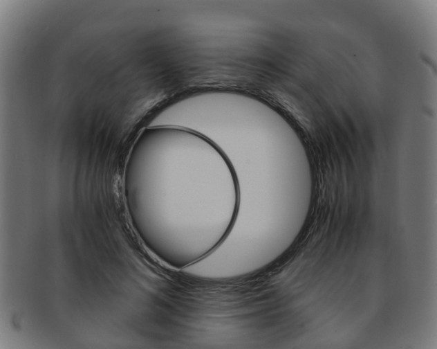 X0000092000692200709061240