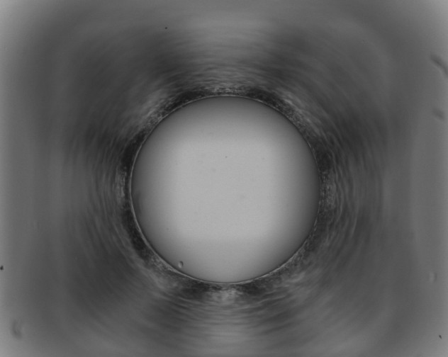 X0000092000695200709061240