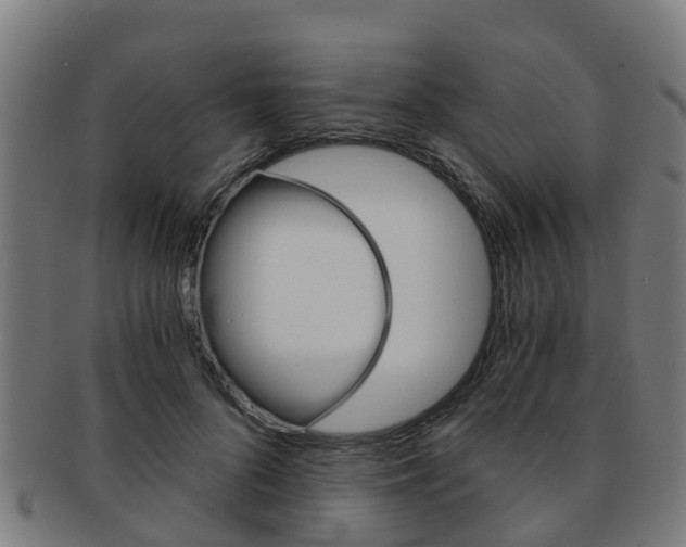 X0000092000696200709061240