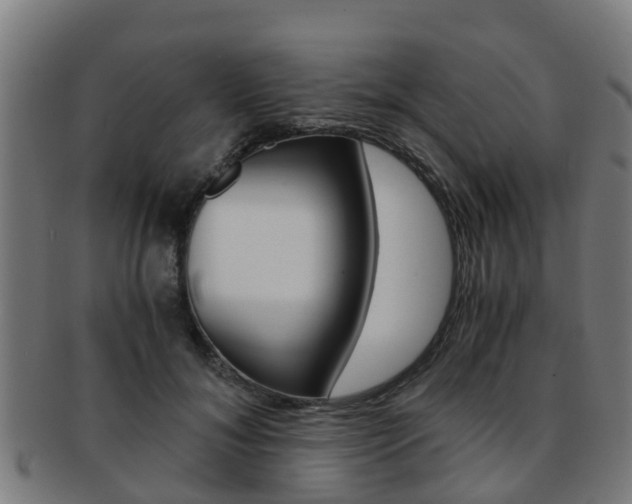 X0000092000700200709061240