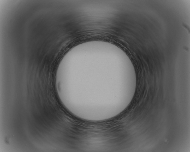 X0000092000701200709061240