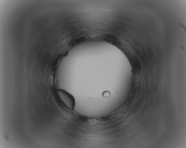 X0000092000703200709061240