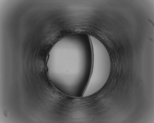 X0000092000704200709061240