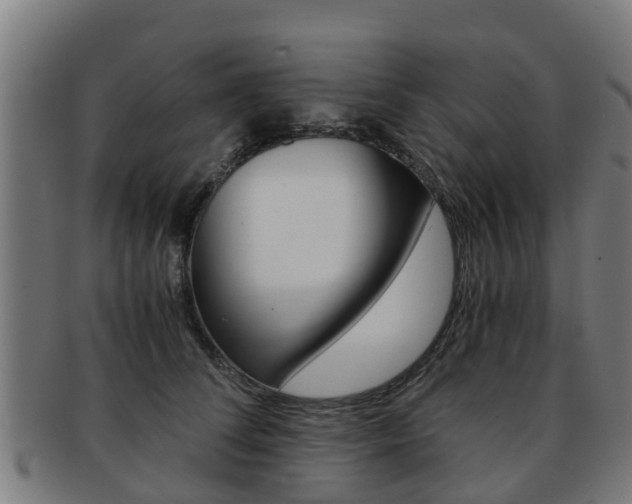 X0000092000708200709061240
