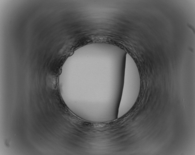 X0000092000709200709061240