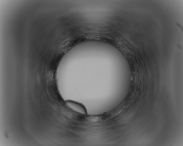 X0000092000711200709061240