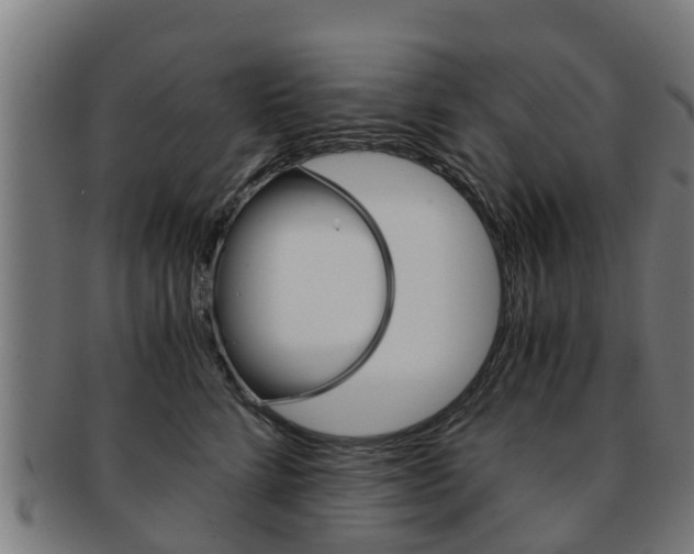 X0000092000712200709061240