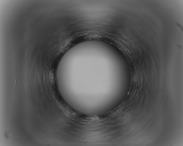X0000092000715200709061240