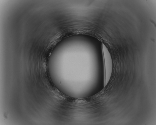 X0000092000716200709061240