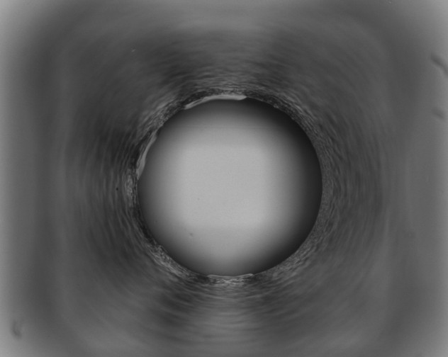 X0000092000720200709061240