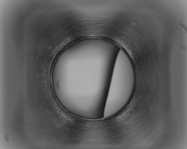 X0000092000721200709061239