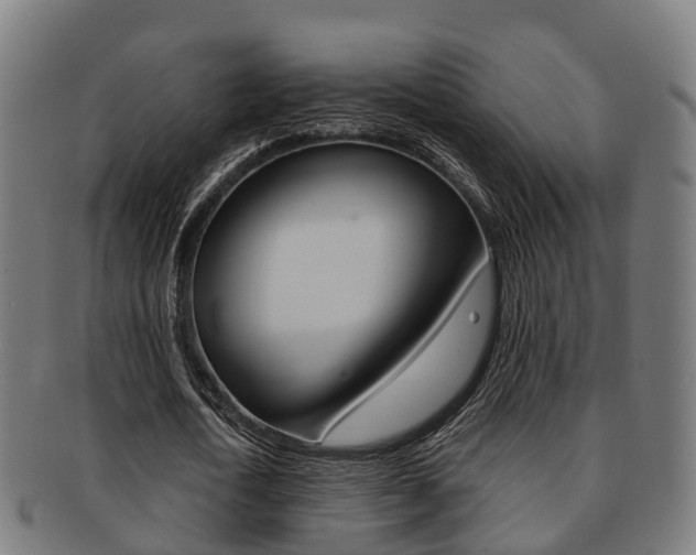 X0000092000722200709061239