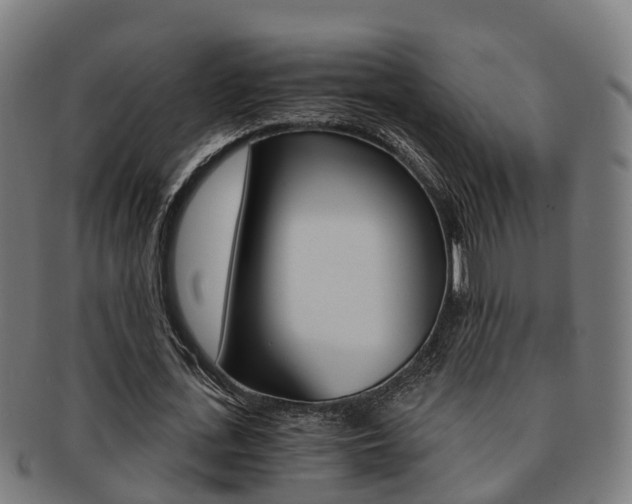 X0000092000723200709061239