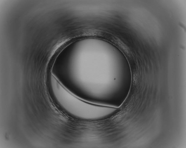 X0000092000724200709061239