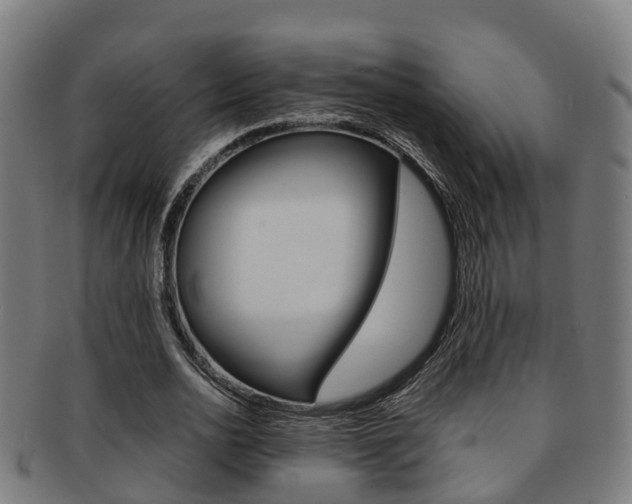 X0000092000726200709061239