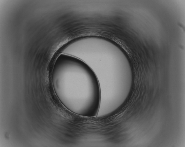 X0000092000727200709061239