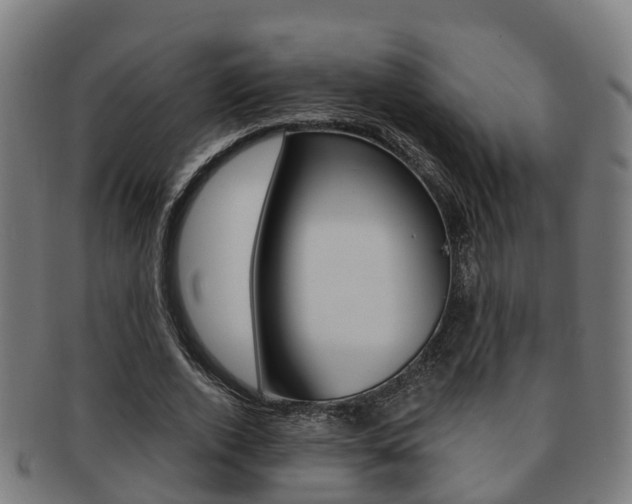 X0000092000728200709061239