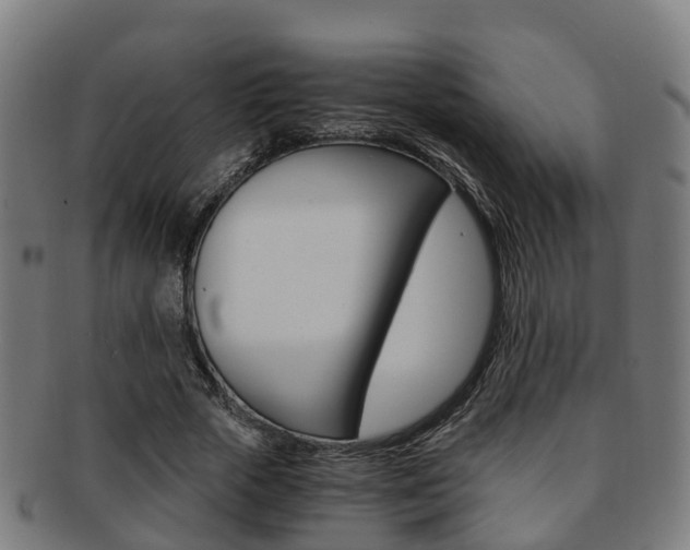 X0000092000729200709061239