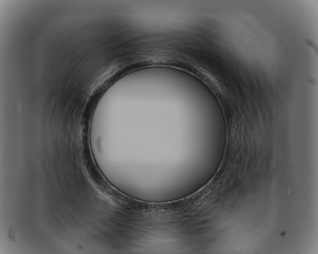 X0000092000730200709061239