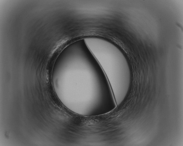 X0000092000731200709061239