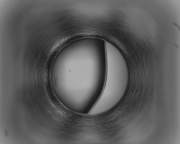 X0000092000732200709061239