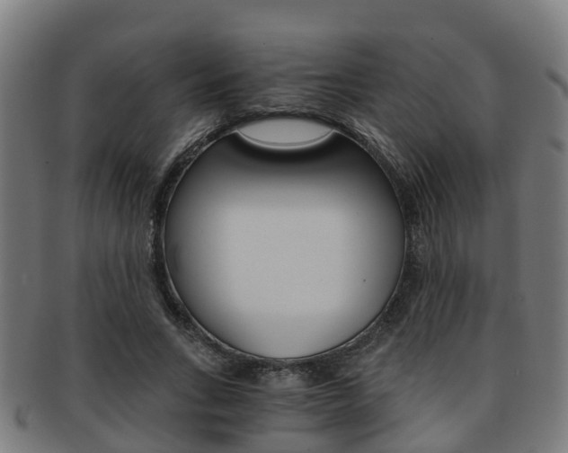 X0000092000735200709061239