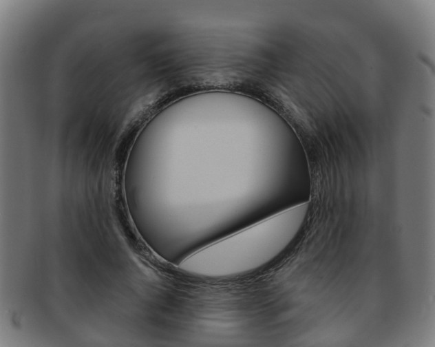 X0000092000736200709061240