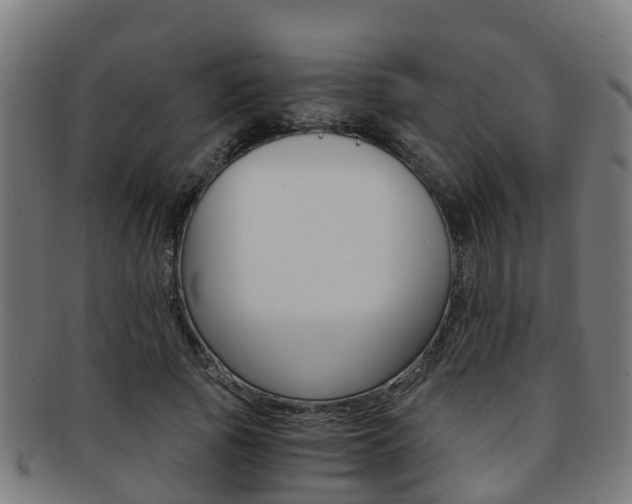 X0000092000737200709061240