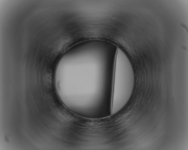 X0000092000739200709061240