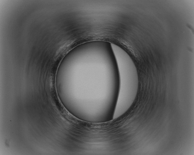 X0000092000740200709061240