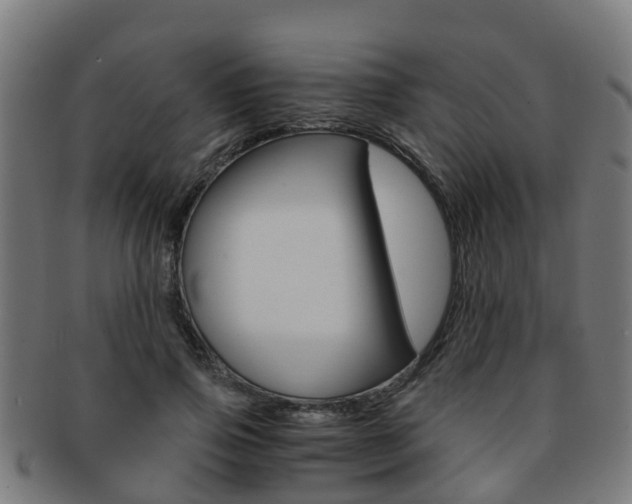 X0000092000741200709061240