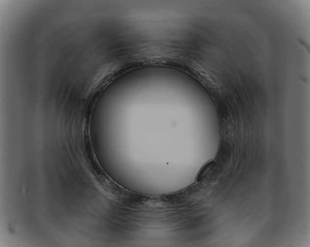 X0000092000742200709061240