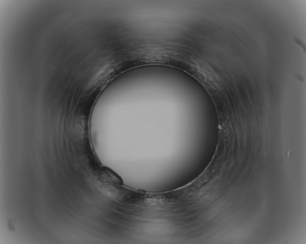 X0000092000744200709061240