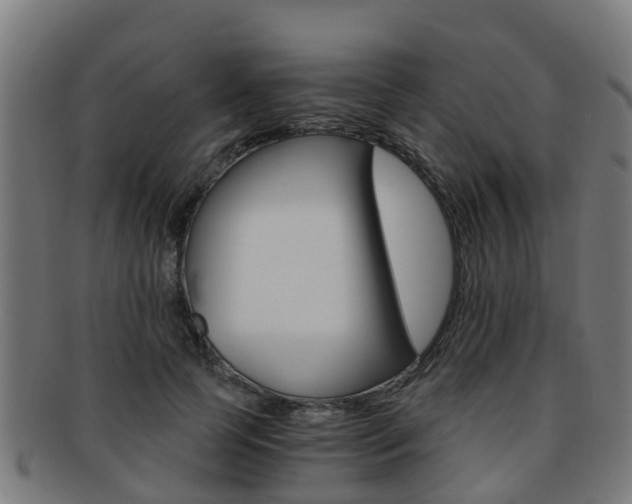 X0000092000745200709061240