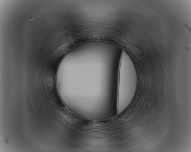 X0000092000746200709061240