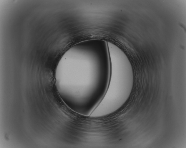 X0000092000748200709061240