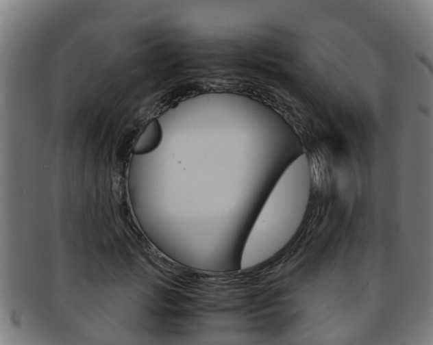 X0000092000749200709061240
