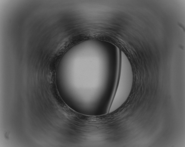 X0000092000750200709061240