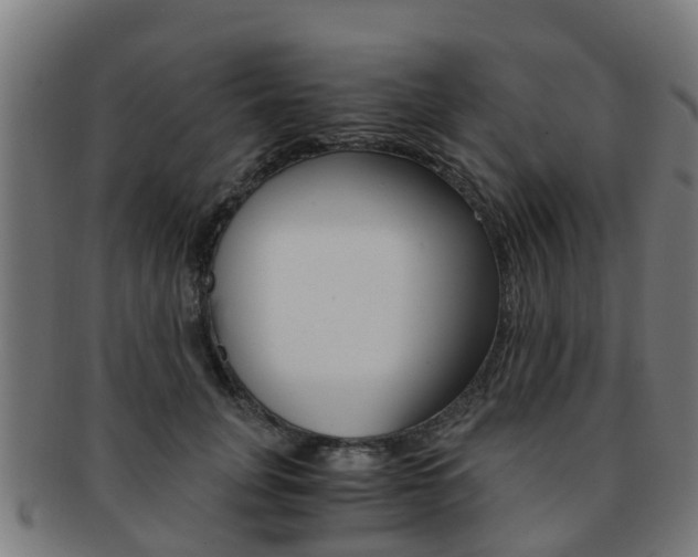 X0000092000751200709061240
